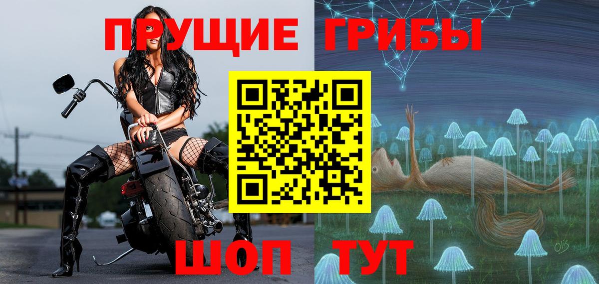 Псилоцибиновые грибы GOLDEN TEACHER  Вход с VPN  Бугуруслан 