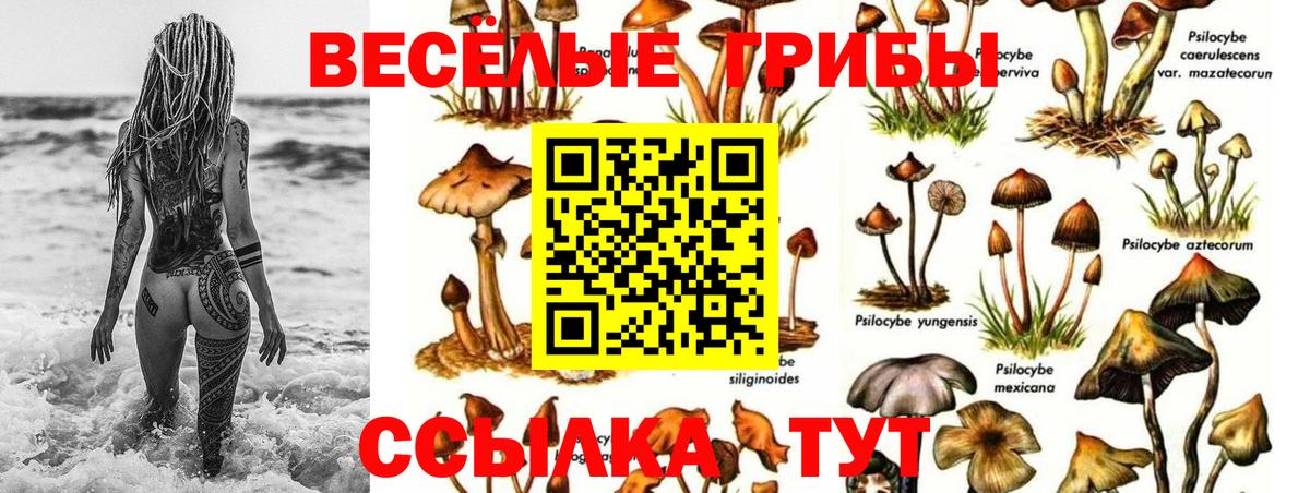 Псилоцибиновые грибы прущие грибы Бугуруслан